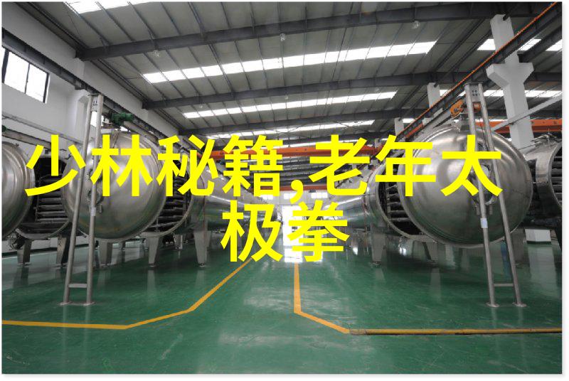 剑指高峰年轻侠客挑战绝顶之巅