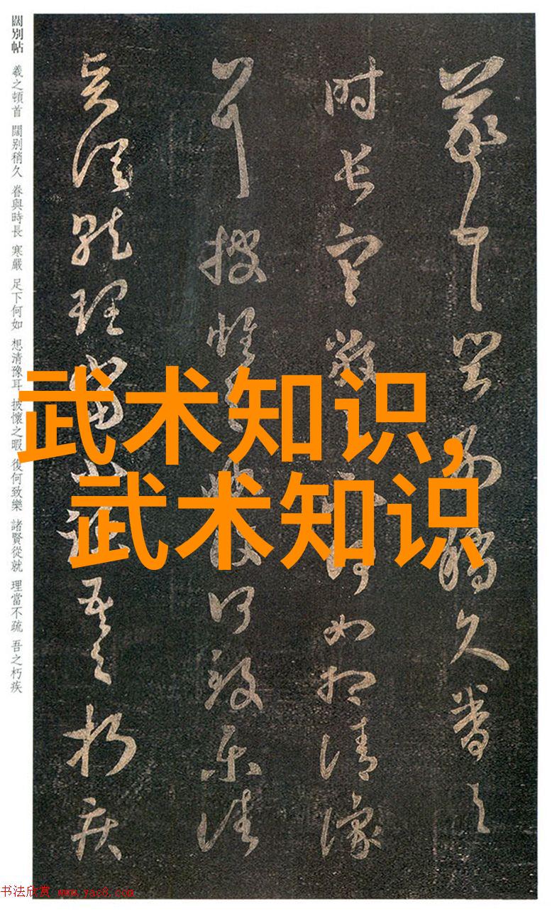 从脚踏实地到翱翔云端轻功飞行的奇迹