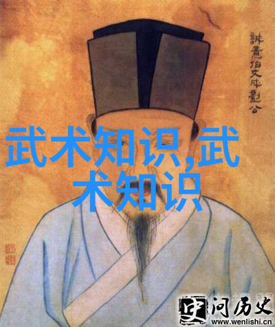 武术教程-掌握48式太极拳全套视频带口令轻松学习古老武功