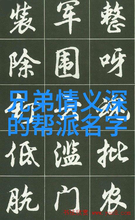 神雕侠侣中张三丰的太极拳内外兼修治愈万病