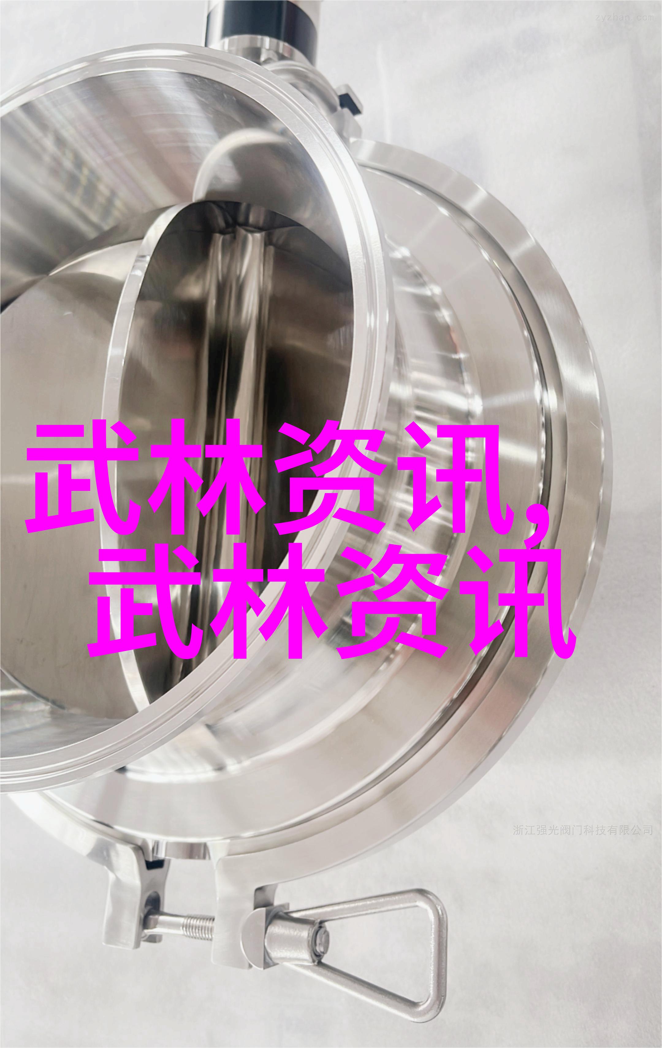 女子剑派刃锋与柔情的交织
