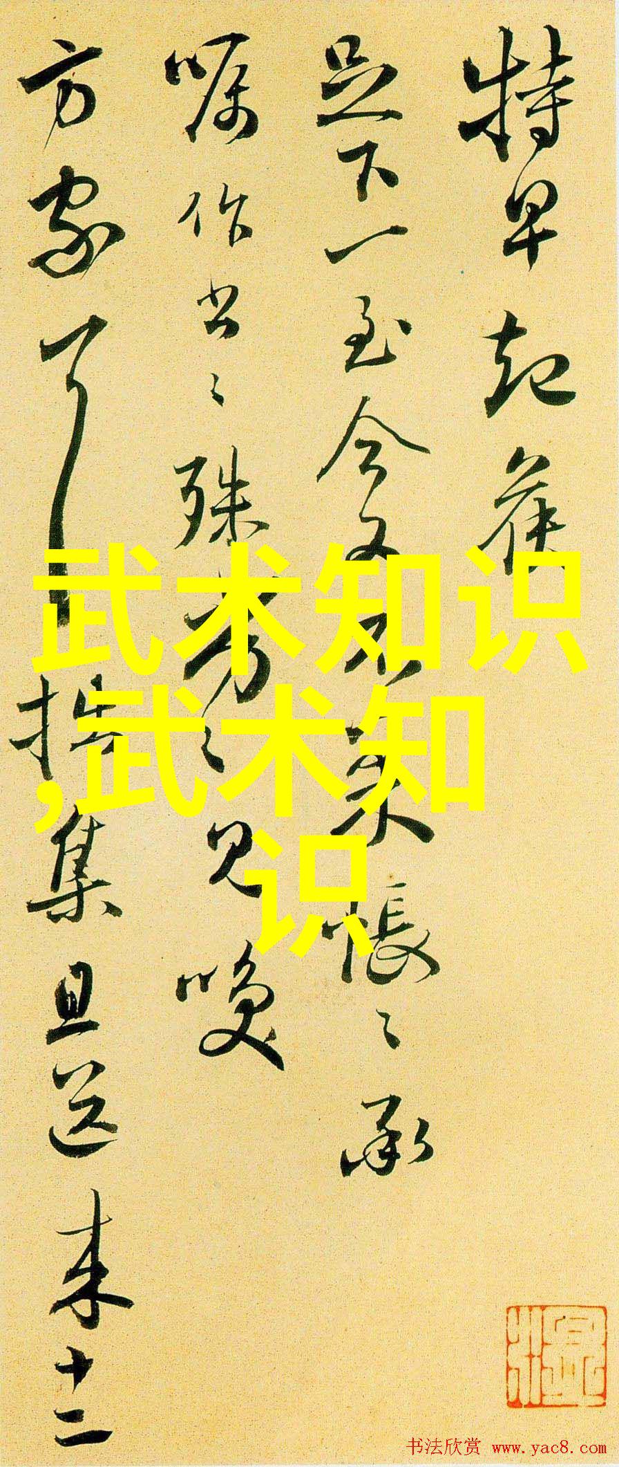 帮派名字大全霸道总裁的暗号