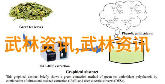 将心比心跟随四十式太极拳视频带口令前承受其魅力与挑战