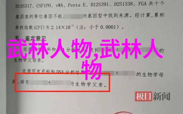 南拳和华拳哪个更强武术对决谁是赢家