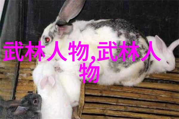 武功招式图谱-揭秘武林绝技武功招式图谱的神秘世界