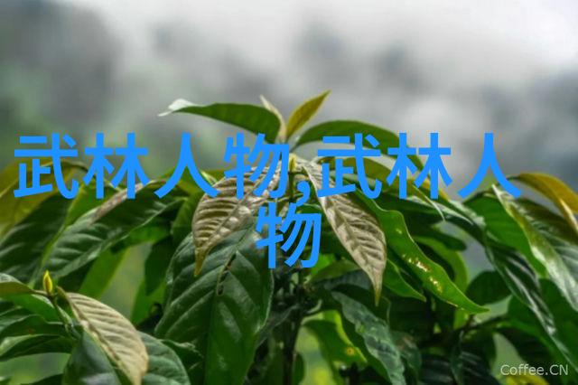 24式太极拳分解动作教学古典武术的和谐之美
