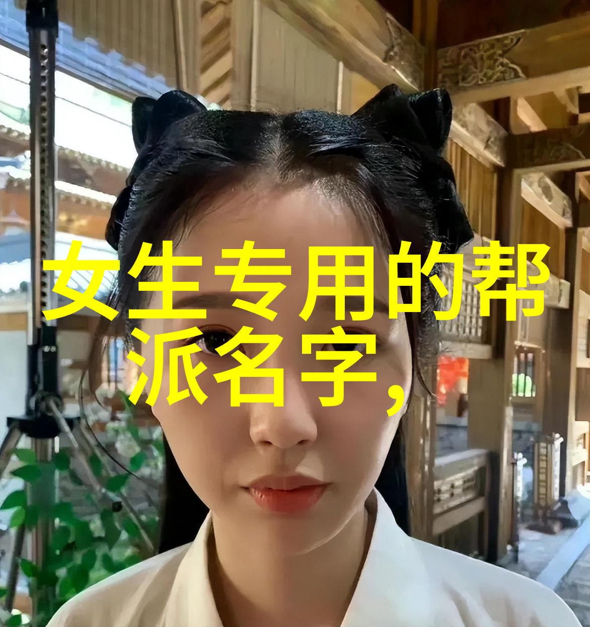 武术的12个基本动作练习太极不需呼吸同步