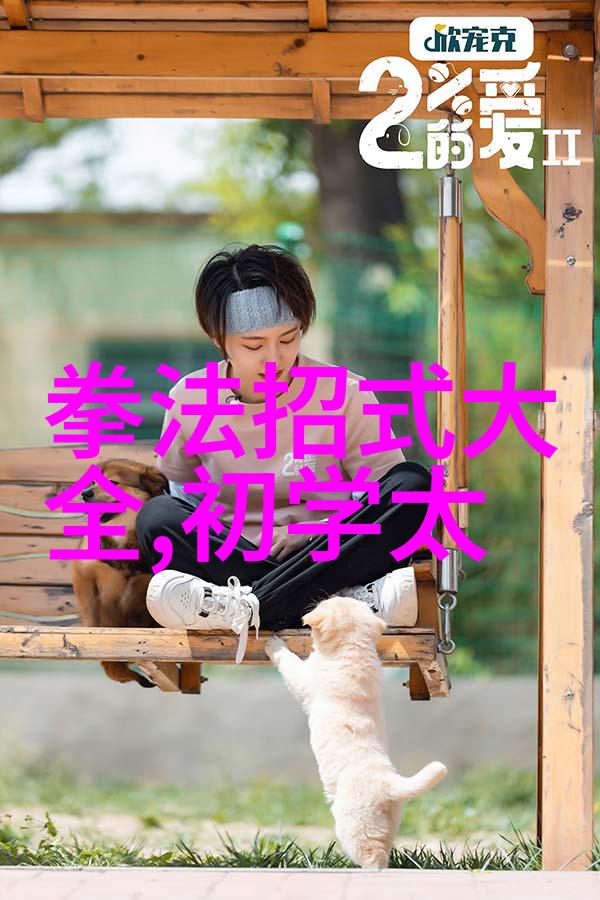 论武当太极的技击