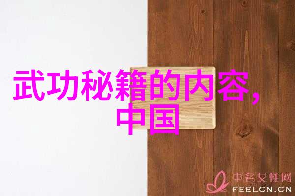 中国武术史上最显赫传统中国十大最强武术