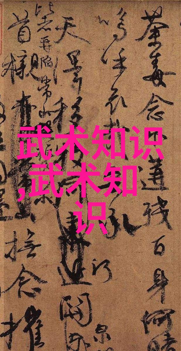 武道初悟拳法入门之旅
