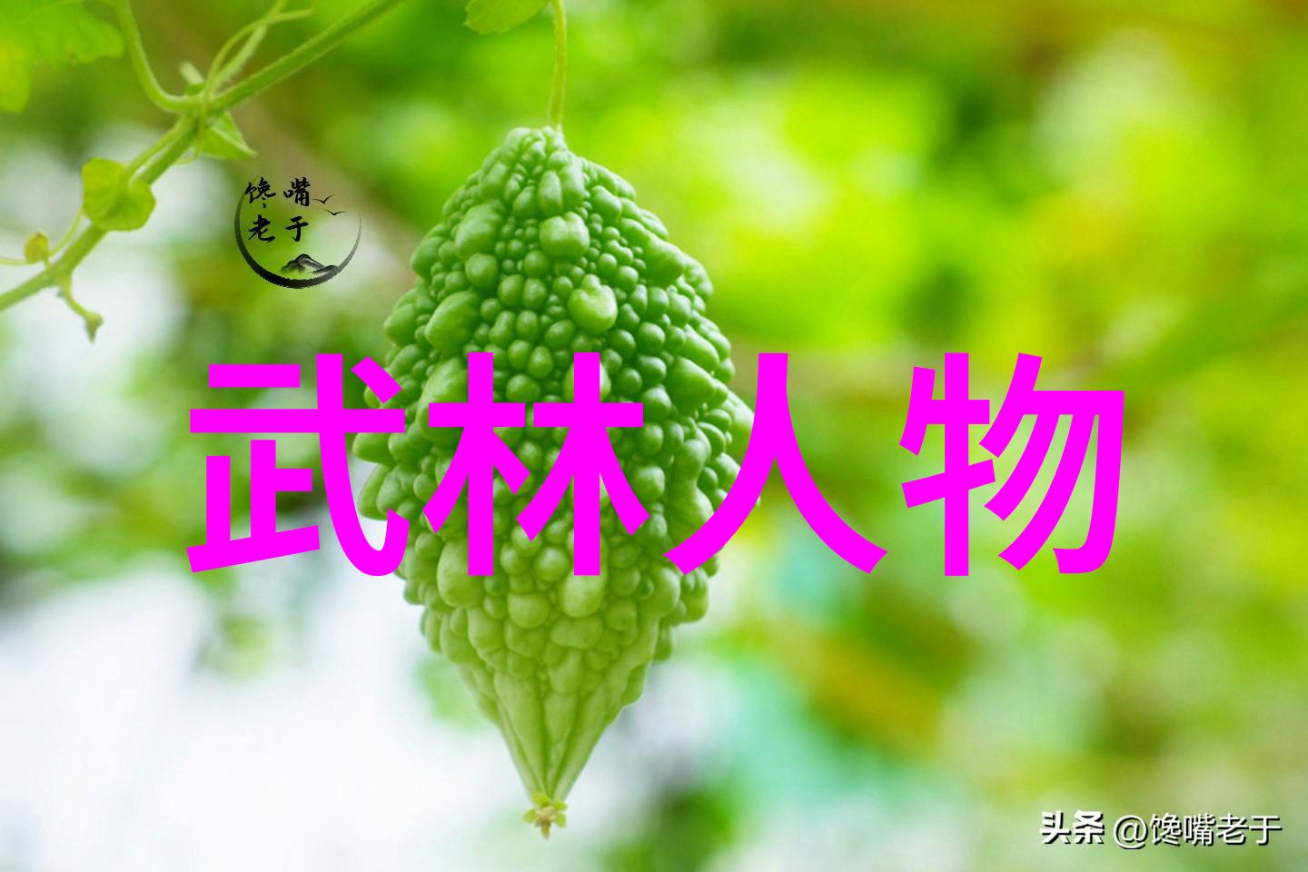 武林盟主揭秘中华武术门派之巅峰强者