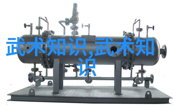 现代门派有哪些探秘少林派的拳种与武术物品