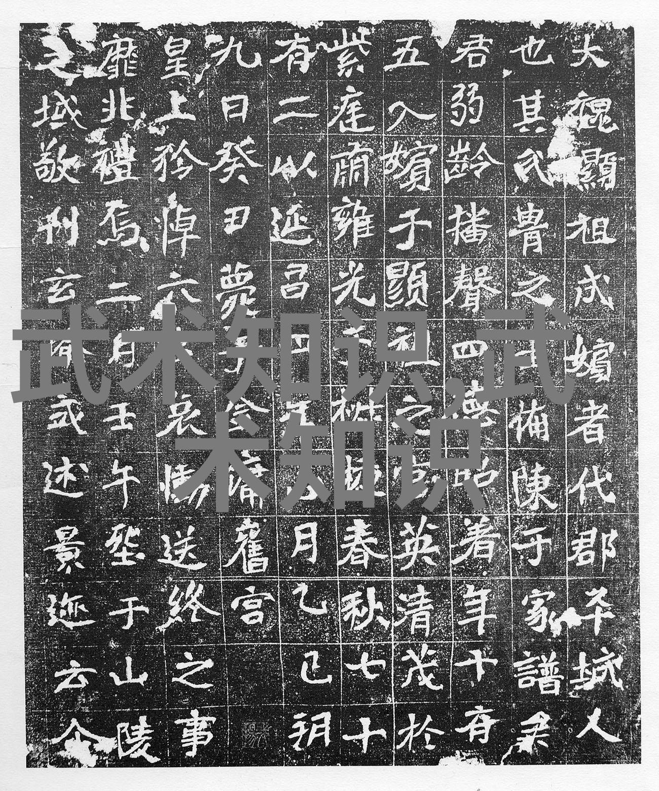 李雅轩太极拳论汇编正如少儿散打武术的智慧宝库