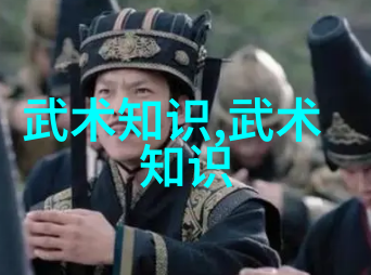 正宗传承与现代演变从源头到巅峰了解10门中国古代真正有效的招式体系