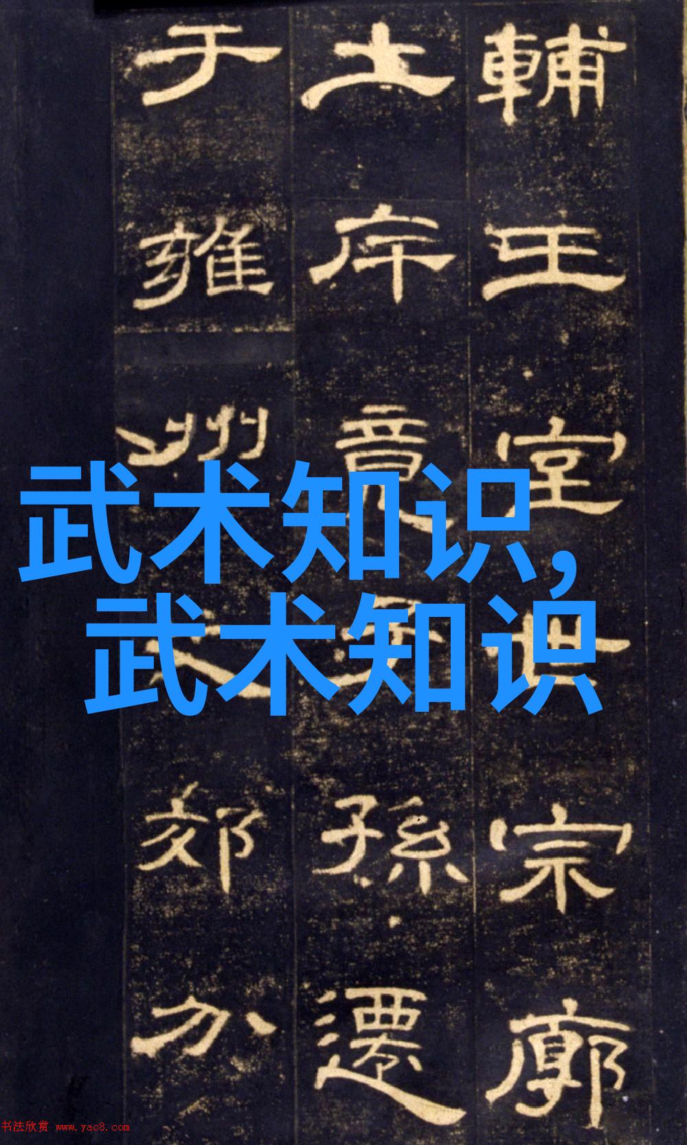 隐世高手天赋异能揭开中国传统武术背后的故事