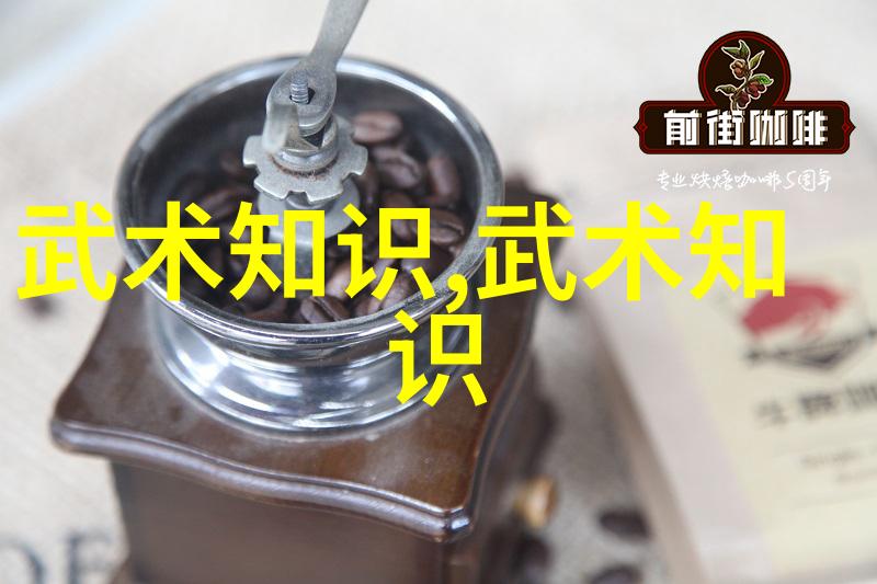 中国武术巨擘赵氏玄门逍遥桩门派拳种的巅峰之选