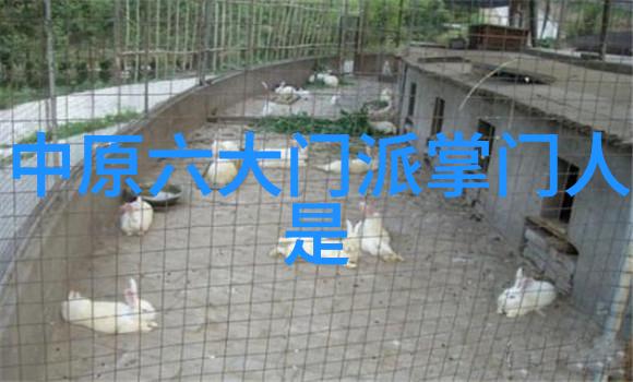 中医养生与功夫修为如何通过食疗增强体质