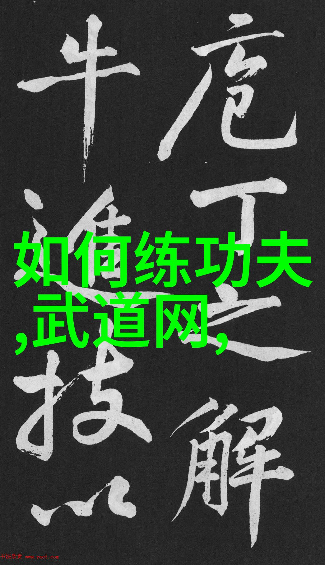 轻功飞翔空中梦想的起点