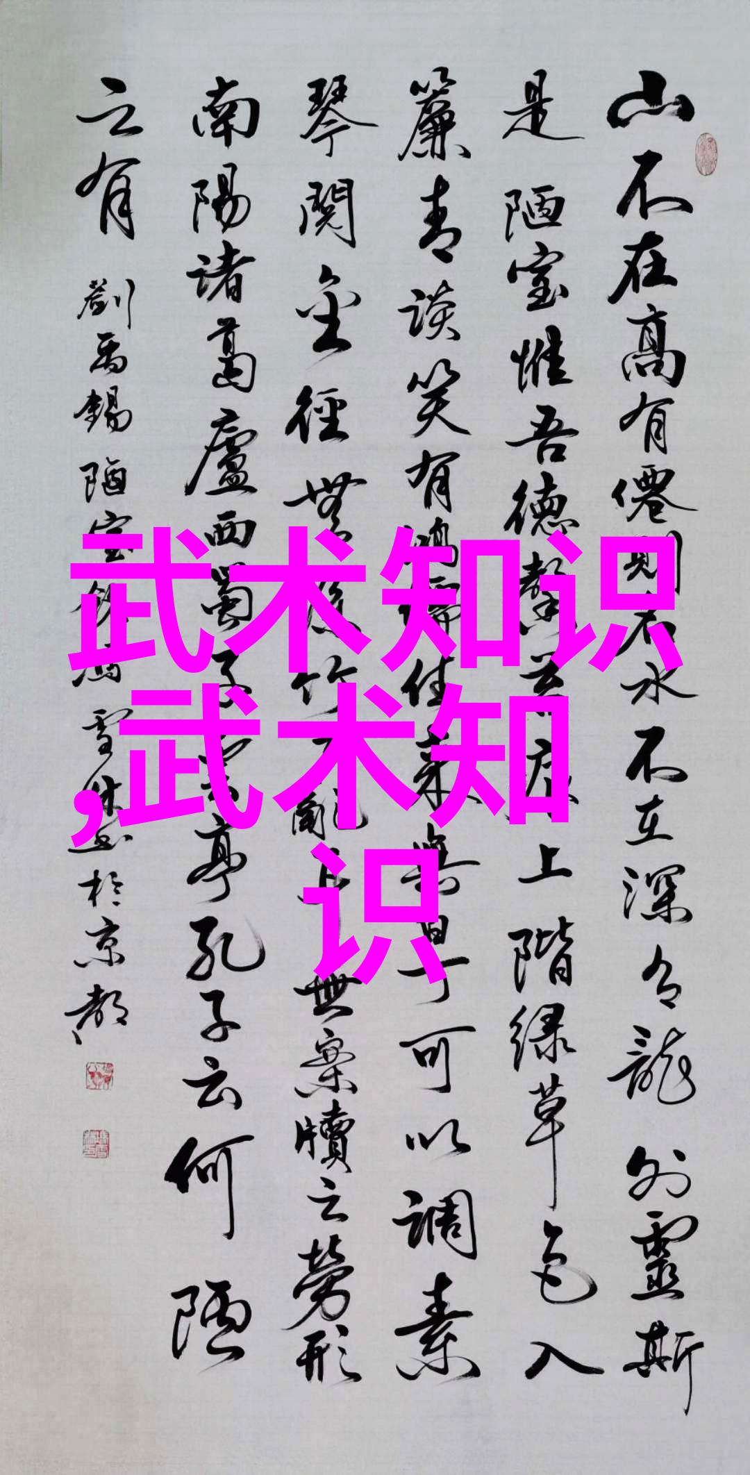丐帮功夫民间英雄之路