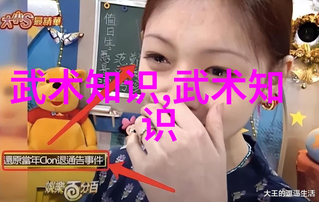 揭秘太极24式探究正面与背面的深层奥义