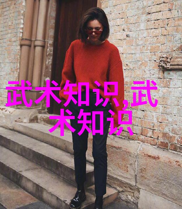 中国功夫拳法研究传统技艺与现代实践的对话