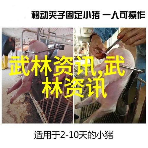 篮球场悬浮地板厂家周鹏的逆袭与裁判的难题