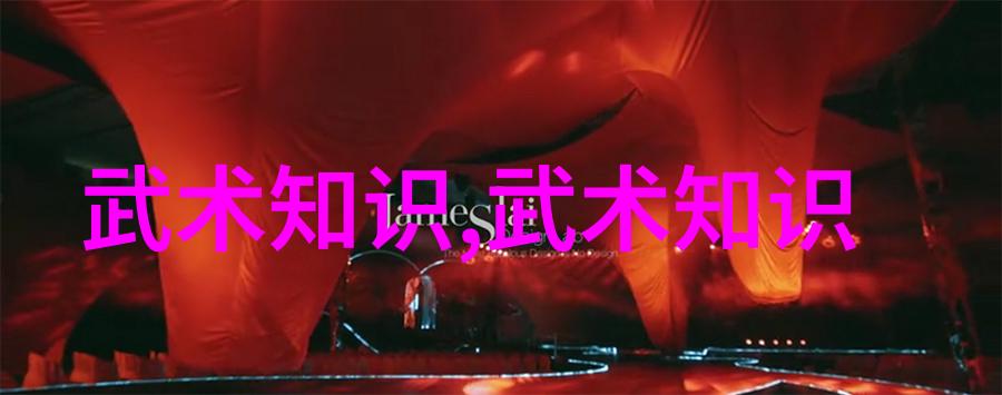 跨越时空的舞蹈者 了解不同地区特色的中国传统武术