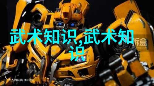 一剑封喉三脚猫解析那些有趣而又独特的武术活动名称