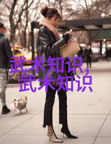 金庸小说武林门派 - 江湖纷争中的五大门派明教少林武当峨眉与丐帮