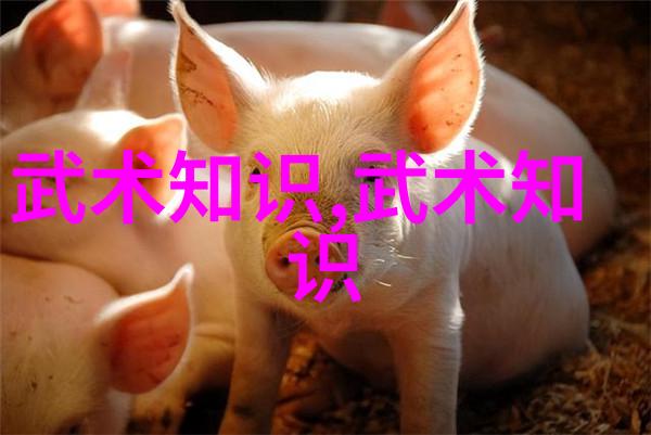 古籍中的气理与现代健身训练相结合提升体质新途径