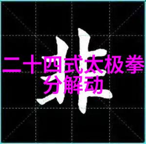静动相间24式太极拳口令全套