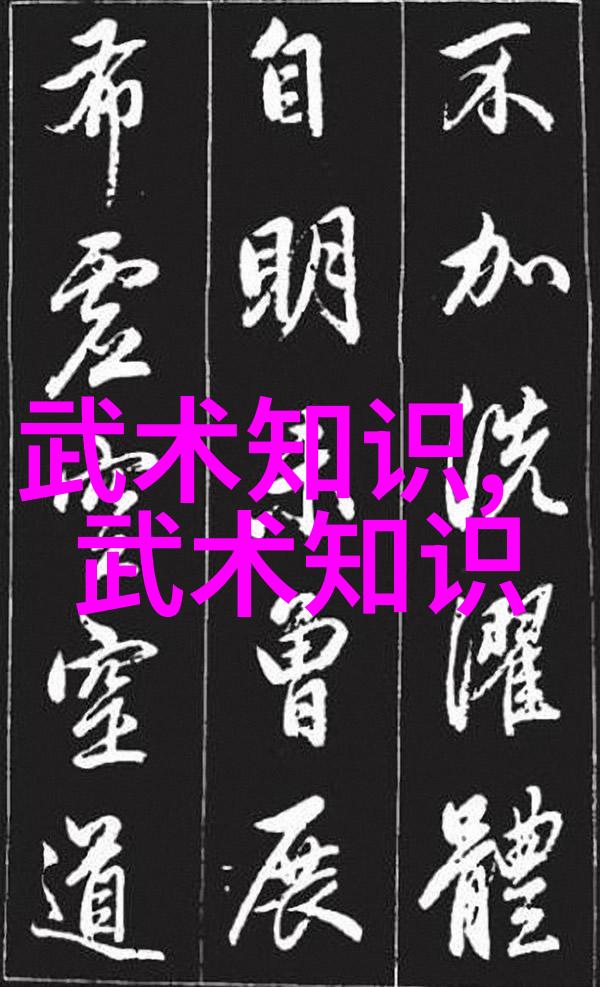 主题我亲眼见证的武林绝技中国体系最庞大的武术门派