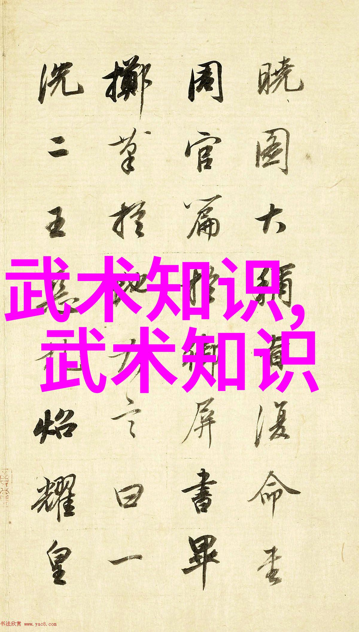 揭秘中国武术的拳法多样性探索数百年传承的技艺与风格