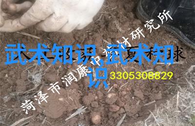 探究现存门派的演变与影响一项跨学科研究