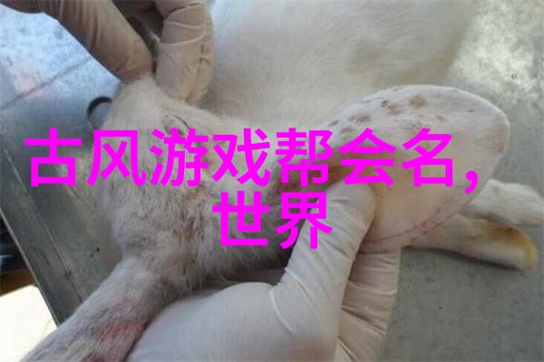 中国武术-揭秘中国武术中的拳法多样性从太极拳到八卦掌