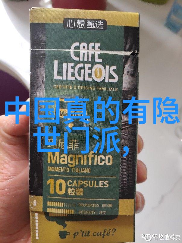 太极拳的双重魅力揭秘24式的正面与背面之美