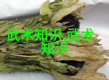 女儿流光八门拳在社会的舞台上绽放