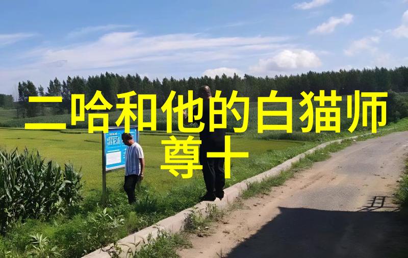 暗影盟主月光下的三字帮派
