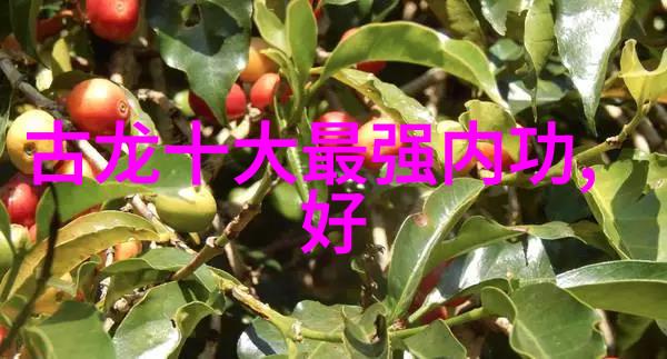 一怪推手不能长功夫二圣难以修炼内力三尸体难以掌控气息四奇才无法精通武学五绝技终究只能停留在门槛