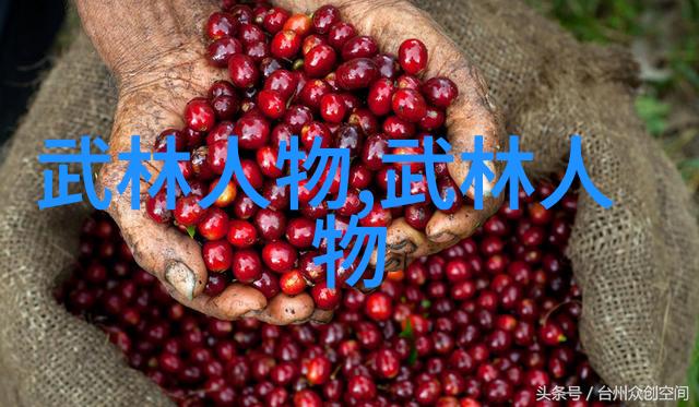 霸道龙虎帮武林最强的帮派