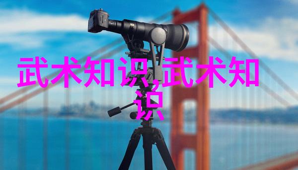 霸道风云武当游氏丹道拳法如龙舞太极拳绝学