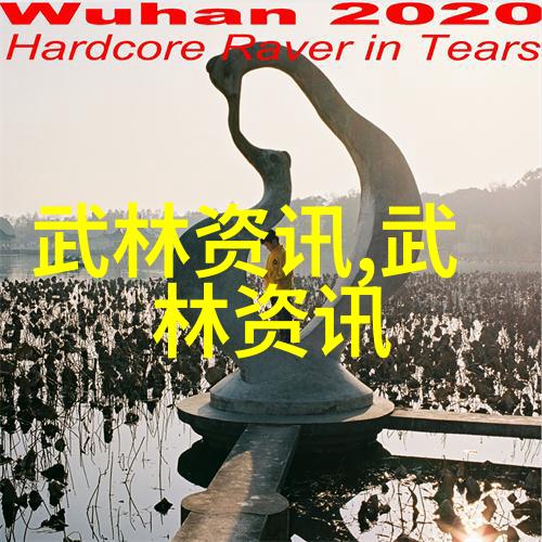 中国古籍中的武林秘笈揭秘传统拳法的奥义