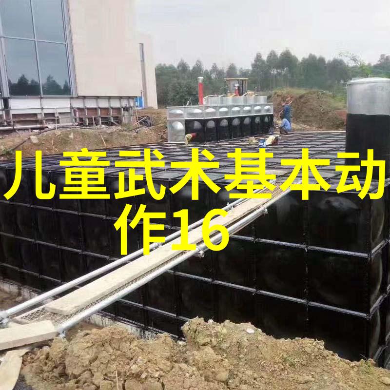 少儿散打武术 - 少儿健身新宠探索散打武术在童年的魅力与益处