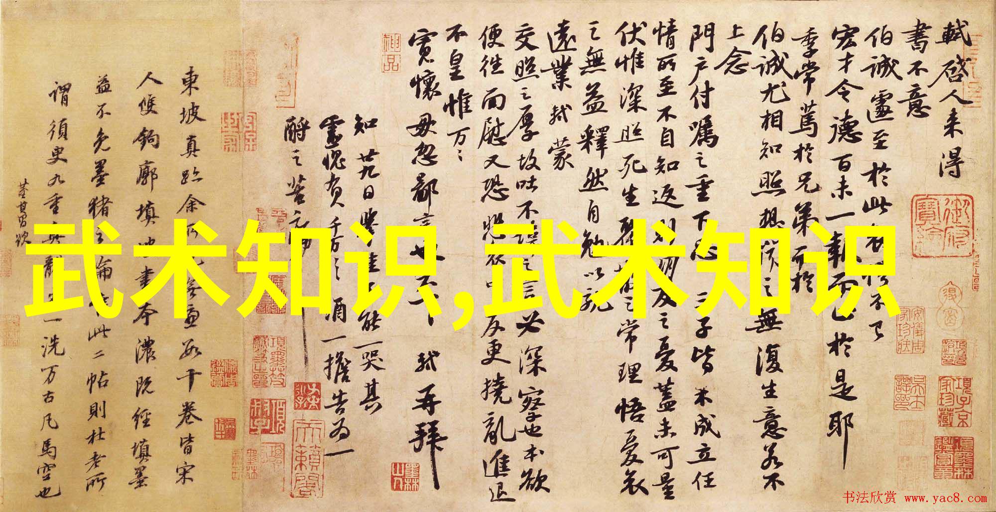 霸道亓门亓门拳种激发内力征服世间