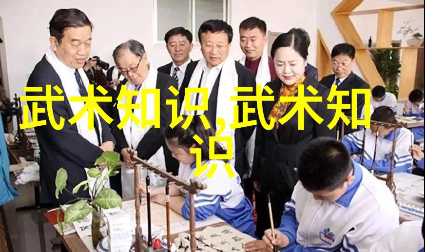 武术禁用网站关于禁止使用武术的网络平台讨论