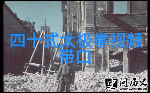 武林秘笈揭秘李小龙功夫教学视频中的内在智慧