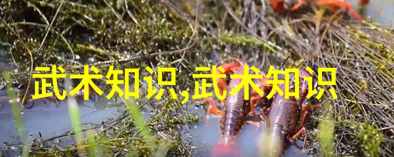武术散打运动员战术能力的研究