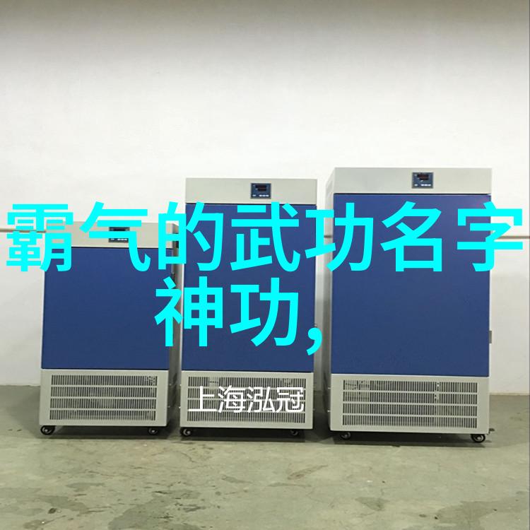 少年拳霸武术散打的奇迹