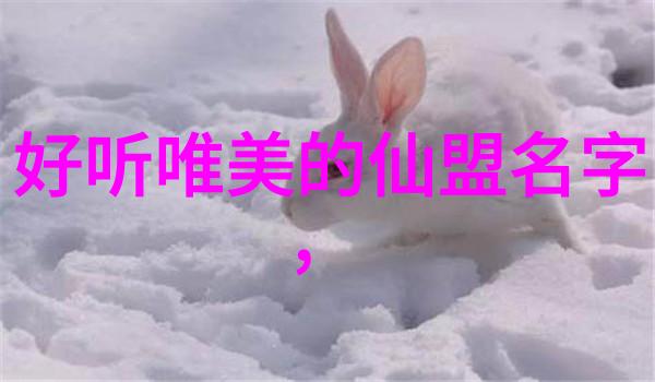 黑儒传txt下载我这儿有个超级棒的秘密分享给你