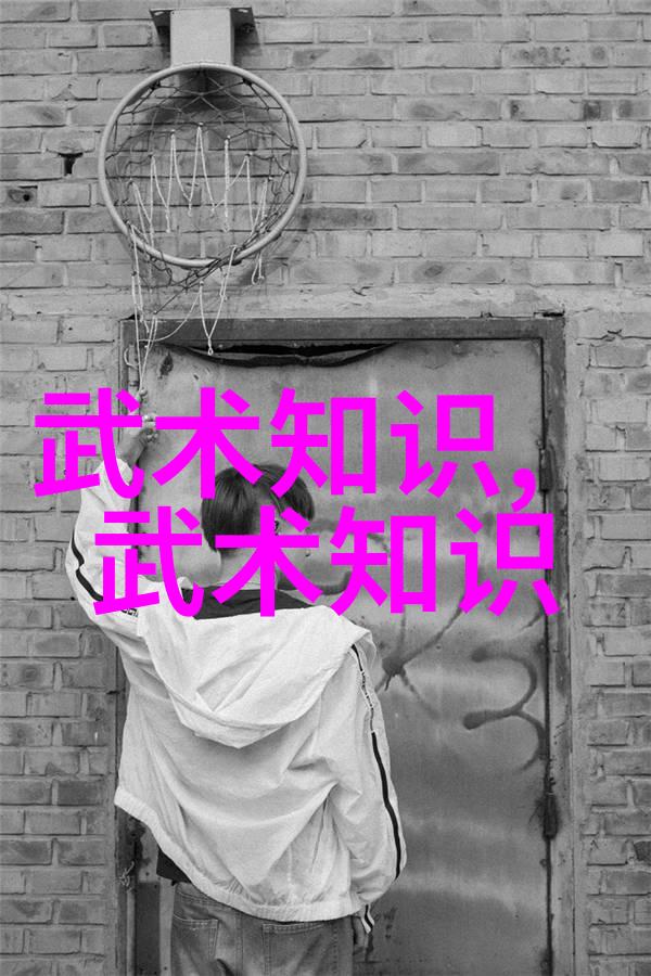 太极拳24式之谜一步一步揭秘古老内功
